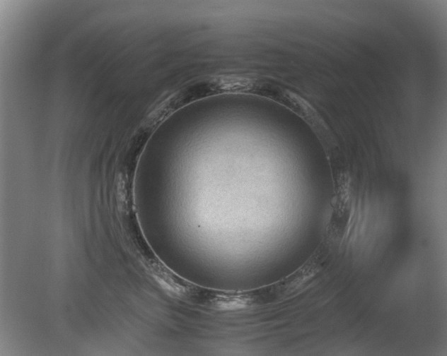 X0000079280667200611171027