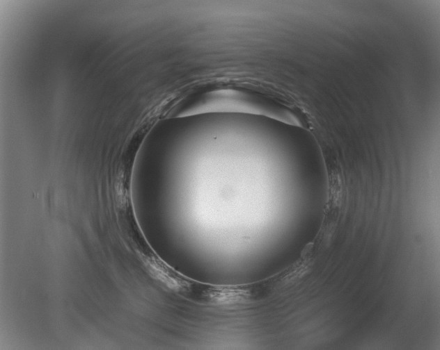 X0000079280670200611171027