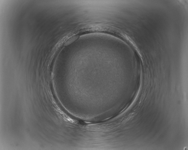 X0000079280673200611171026