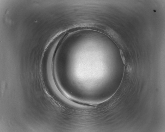 X0000079280676200611171026