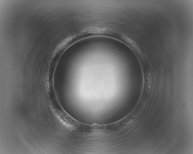 X0000079280682200611171026