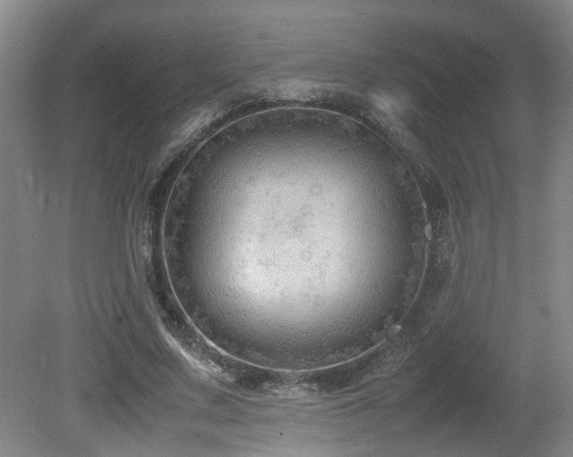 X0000079280683200611171026