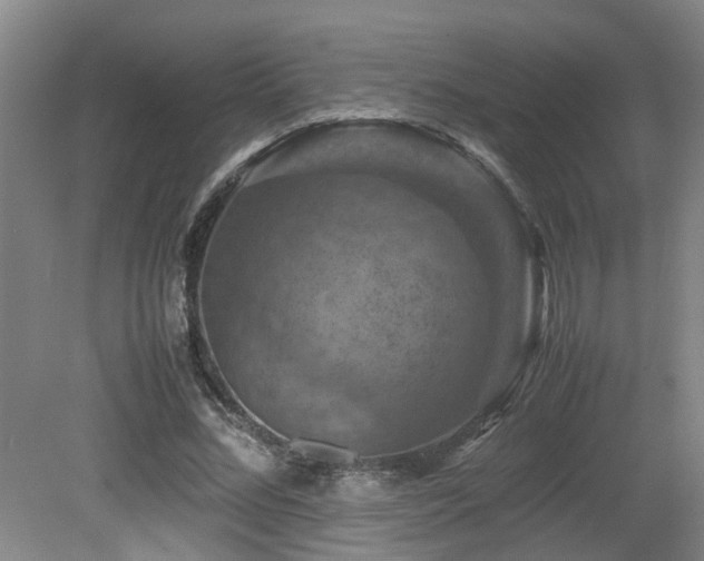 X0000079280684200611171026