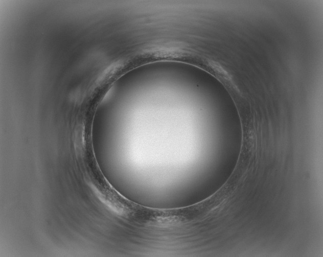 X0000079280686200611171026