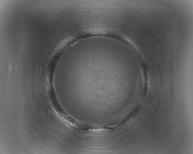 X0000079280688200611171026