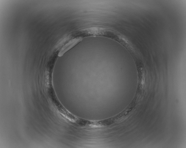 X0000079280696200611171026