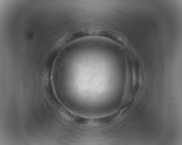 X0000079280697200611171026