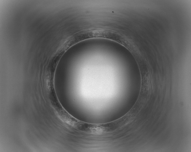 X0000079280698200611171025