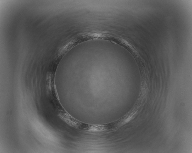 X0000079280720200611171025