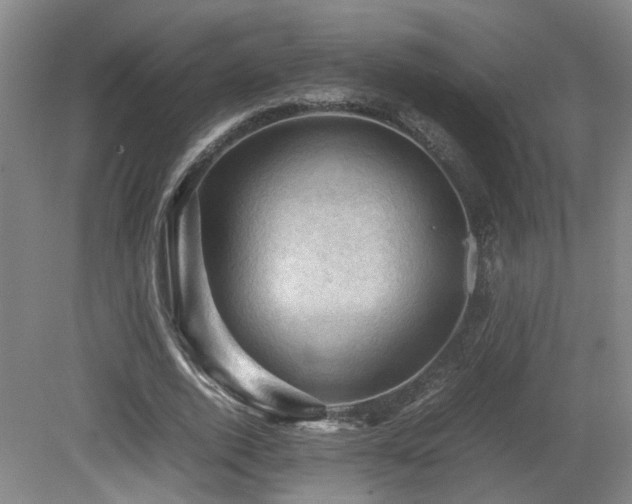 X0000079280728200611171024