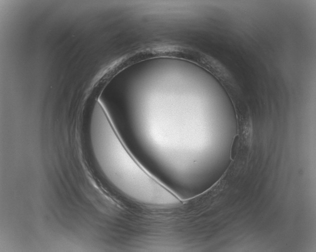 X0000079280732200611171025