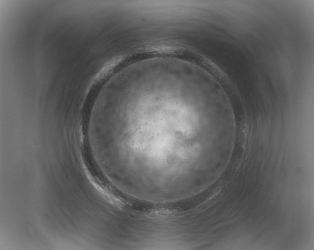 X0000079280734200611171025