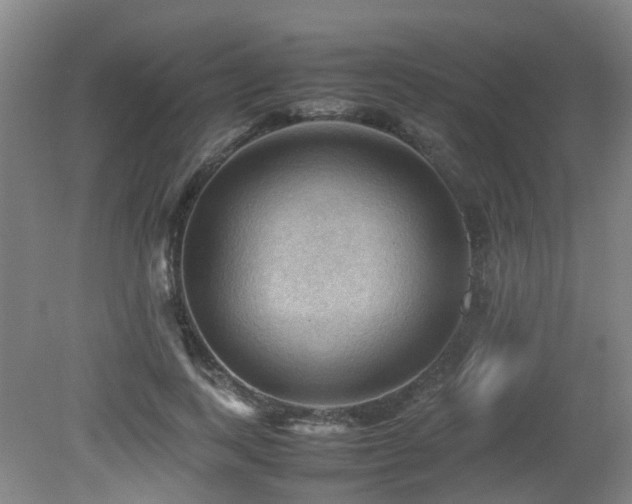 X0000079280743200611171025