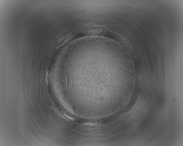 X0000079280745200611171025
