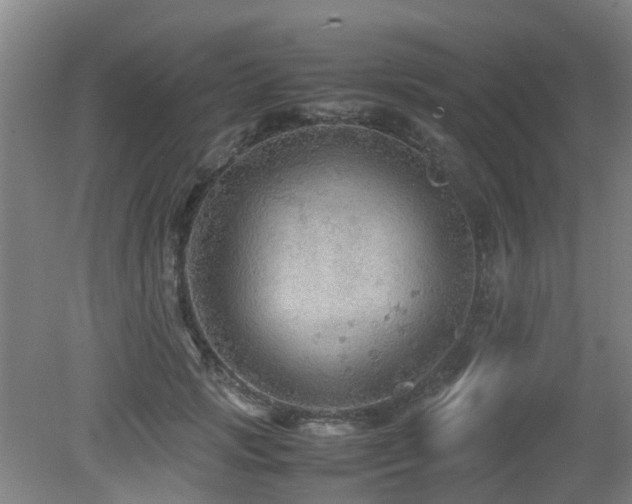 X0000079280749200611171025