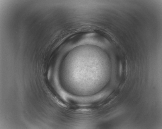 X0000079280750200611171025