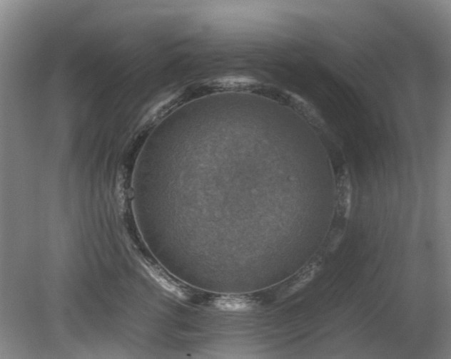 X0000079280762200611171025
