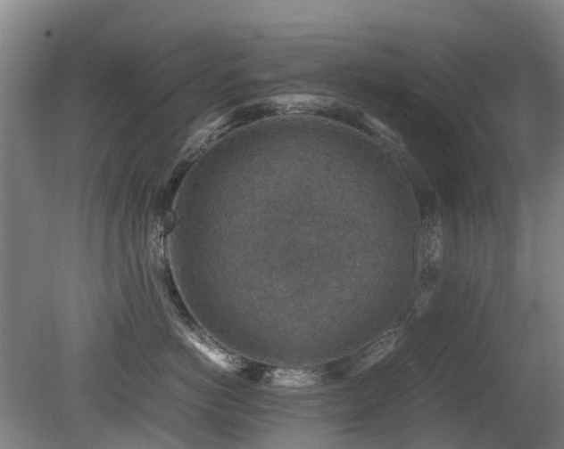 X0000079280766200611171025