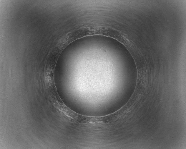 X0000079280770200611171024