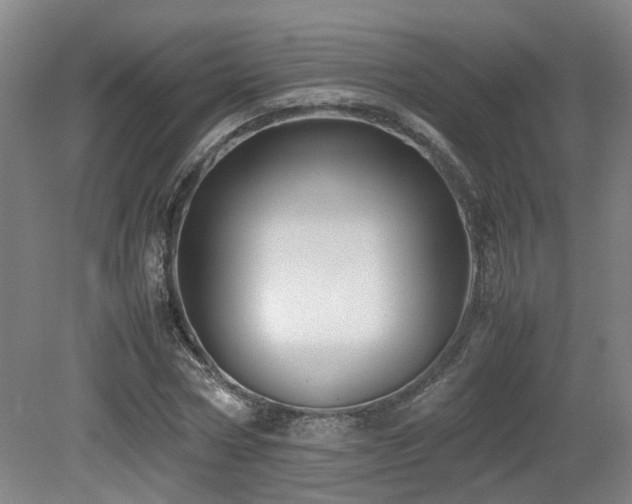 X0000079280778200611171024
