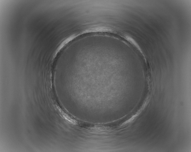 X0000079280781200611171024