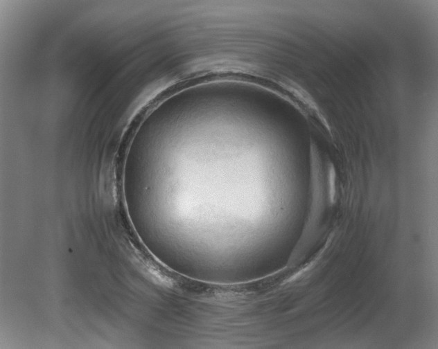X0000079280782200611171024