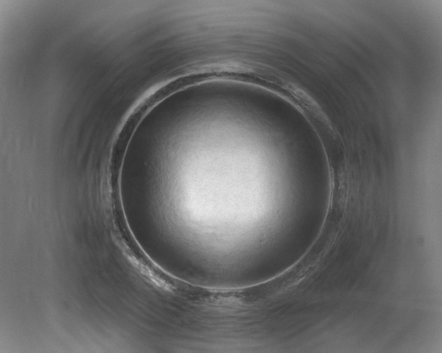X0000079280784200611171024