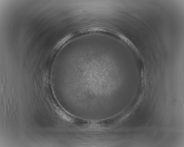 X0000079280785200611171024