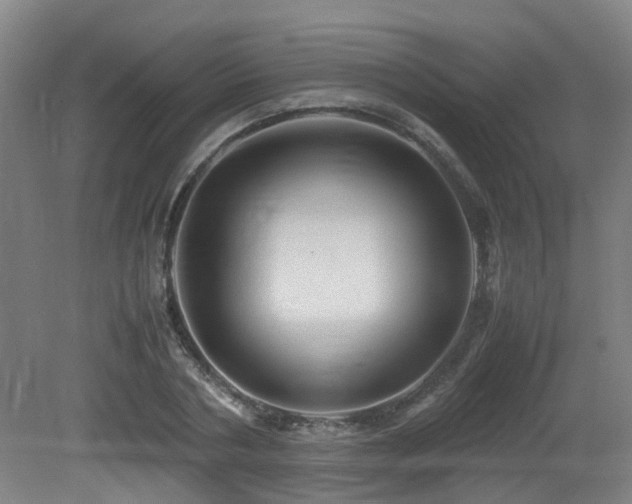 X0000079280786200611171024