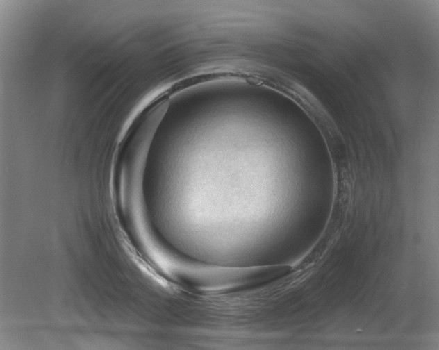 X0000079280788200611171024