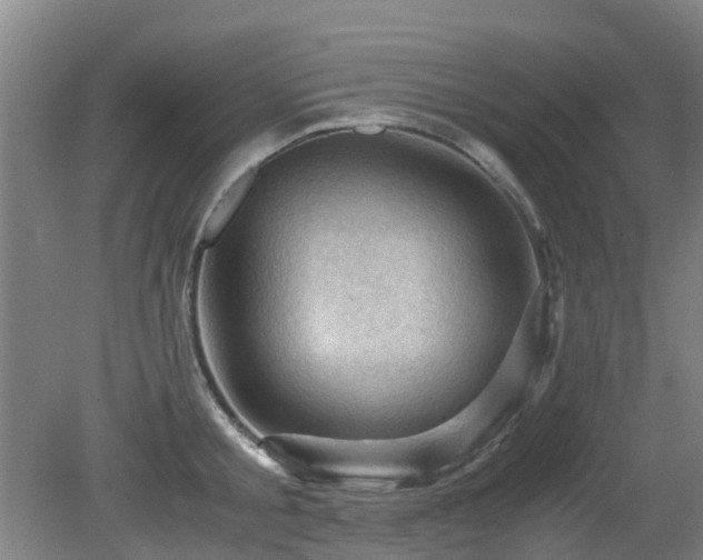 X0000079280805200611171024