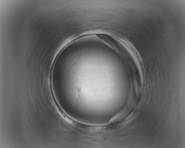X0000079280813200611171024