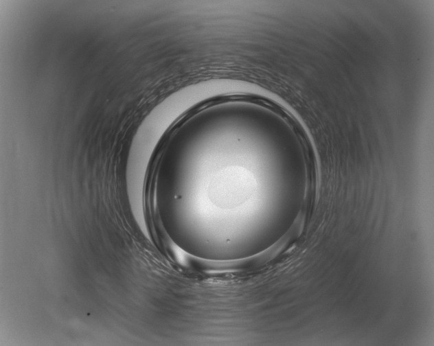 X0000079280818200611171023