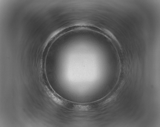 X0000079280831200611171023