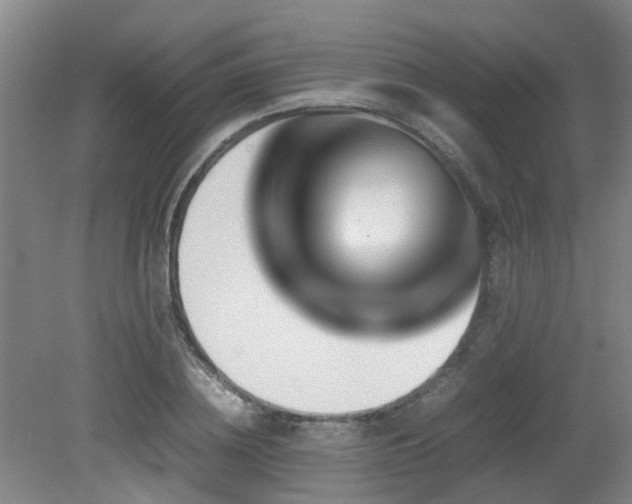 X0000079280836200611171023