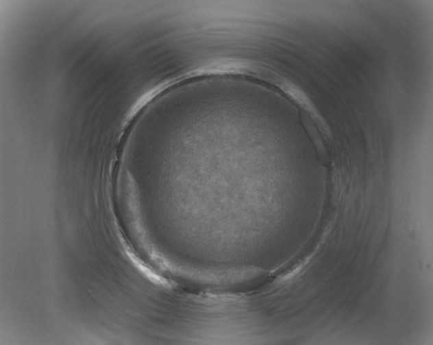 X0000079280842200611171023