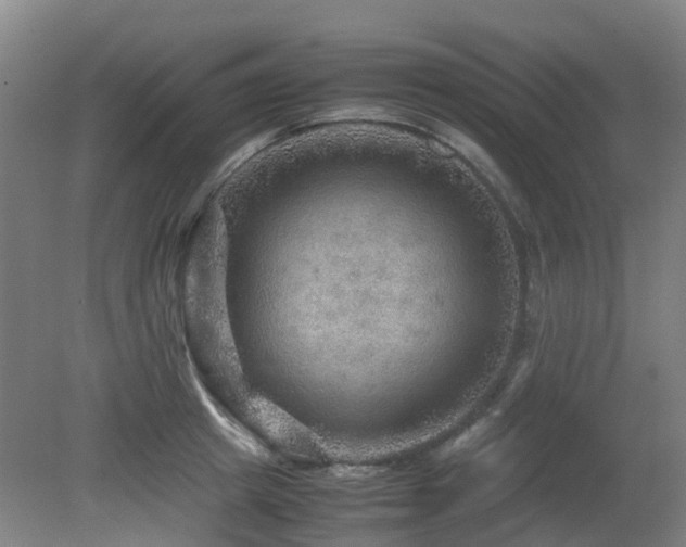 X0000079280849200611171023