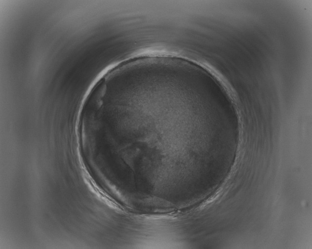 X0000079280864200611171023