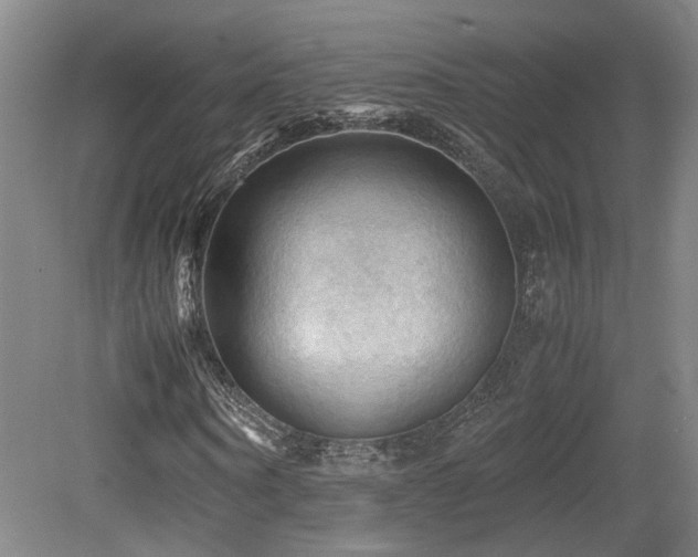 X0000079280866200611171023