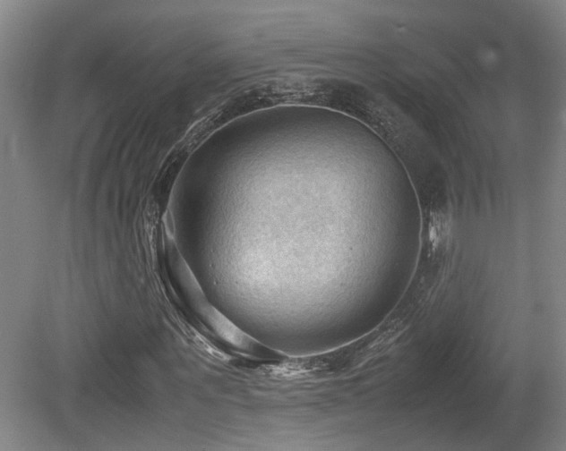 X0000079280867200611171023