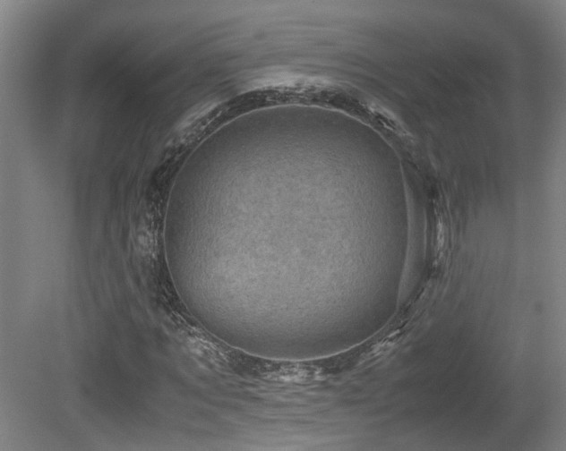 X0000079280869200611171023