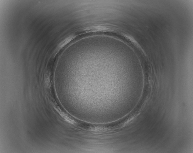 X0000079280873200611171023