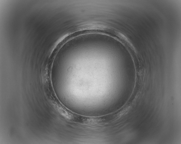 X0000079280875200611171023