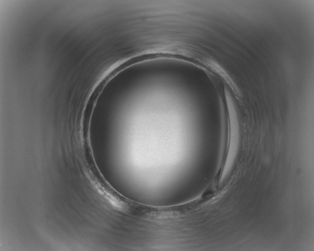 X0000079280884200611171022