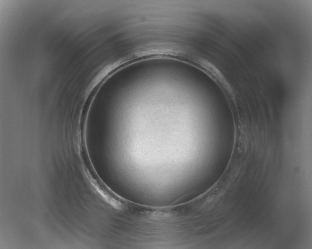 X0000079280890200611171022