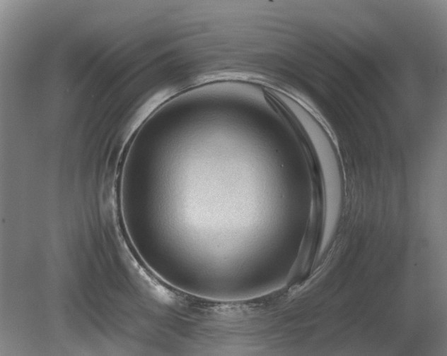 X0000079280906200611171022