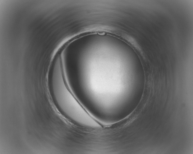 X0000079280936200611171021