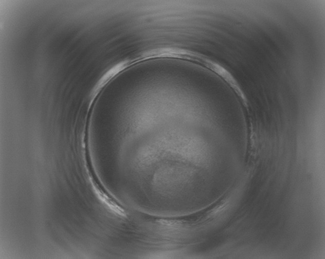 X0000079280954200611171022