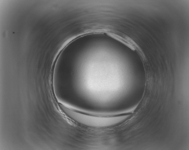 X0000079280956200611171022