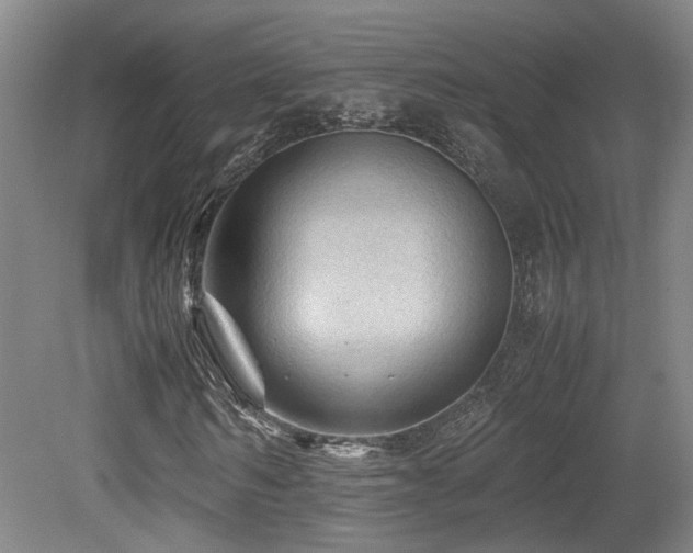X0000079280962200611171021